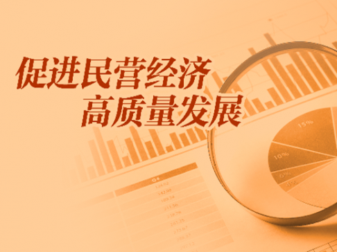 專題丨促進(jìn)民營(yíng)經(jīng)濟(jì)高質(zhì)量發(fā)展